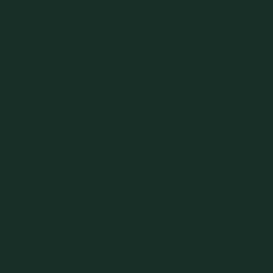 Heat Transfer Vinyl 19" Width DARK GREEN HTV